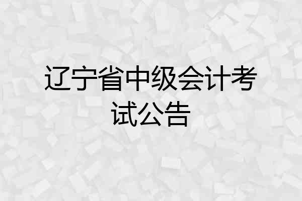 辽宁省中级会计考试公告