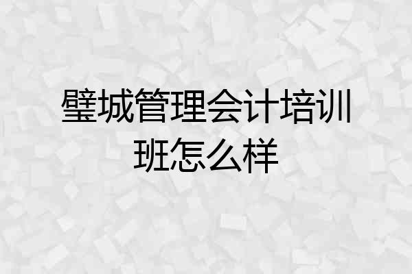 璧城管理会计培训班怎么样