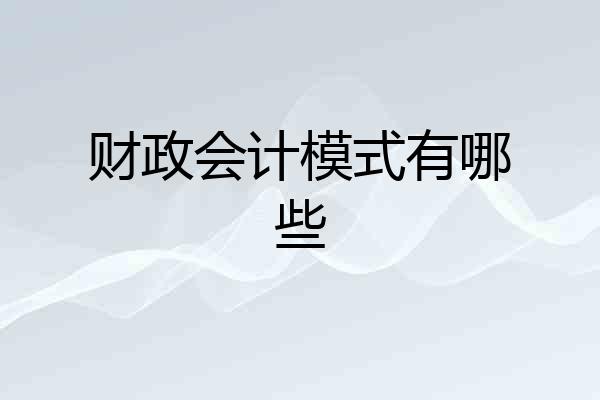 财政会计模式有哪些