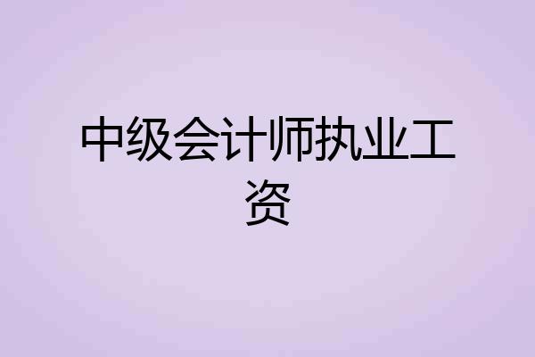 中级会计师执业工资