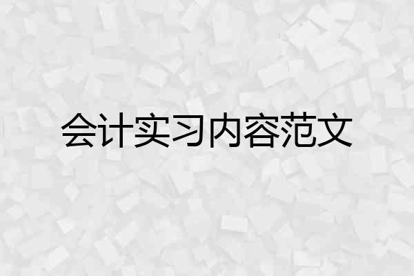 会计实习内容范文