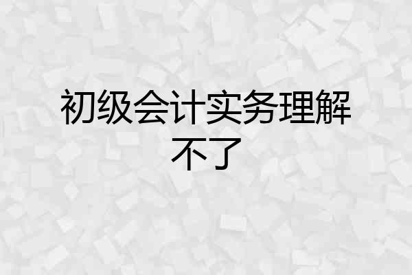 初级会计实务理解不了