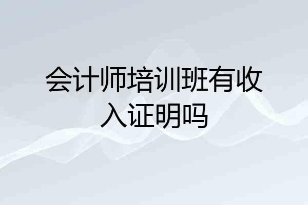 会计师培训班有收入证明吗