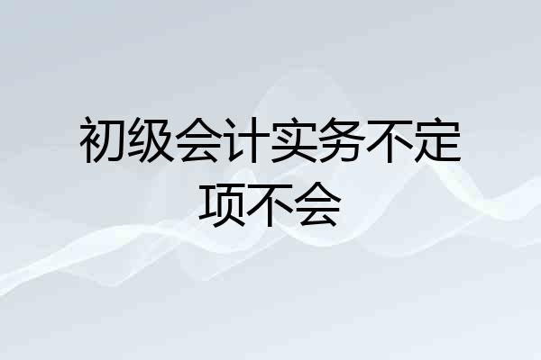初级会计实务不定项不会