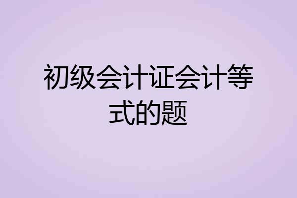 初级会计证会计等式的题