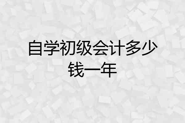 自学初级会计多少钱一年