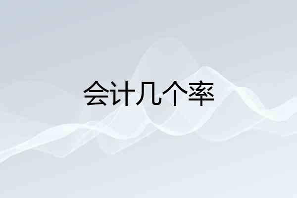 会计几个率
