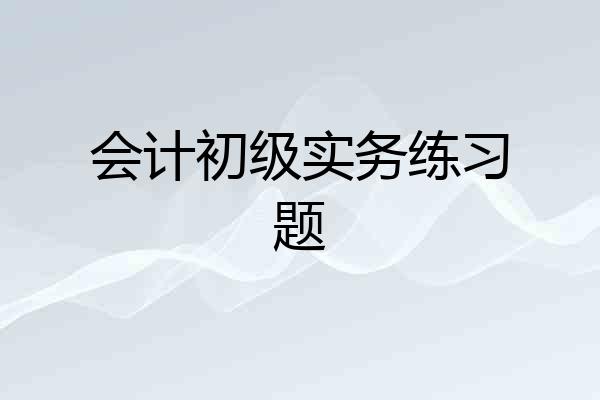 会计初级实务练习题
