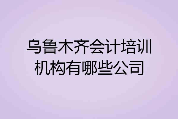 乌鲁木齐会计培训机构有哪些公司