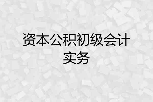 资本公积初级会计实务