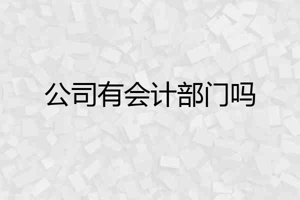 公司有会计部门吗
