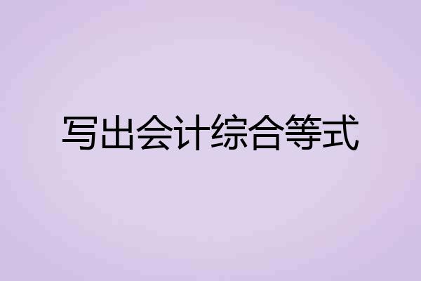 写出会计综合等式