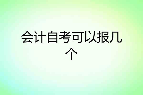 会计自考可以报几个