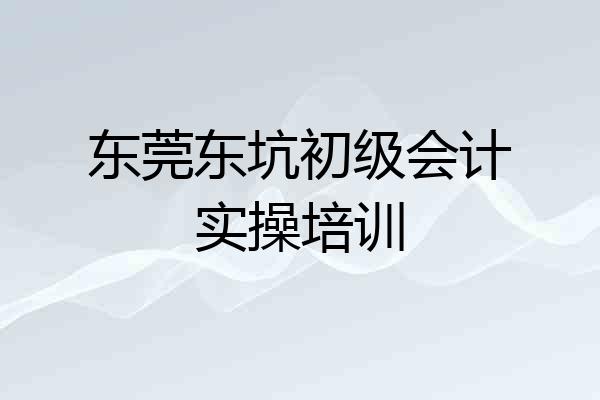 东莞东坑初级会计实操培训