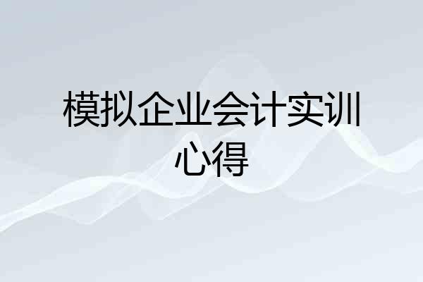 模拟企业会计实训心得