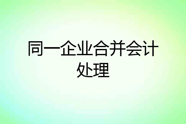同一企业合并会计处理