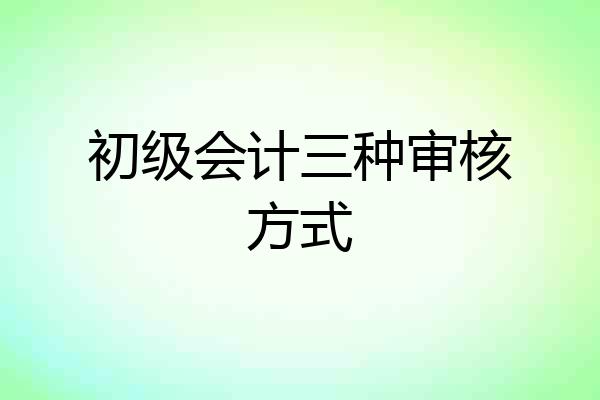 初级会计三种审核方式