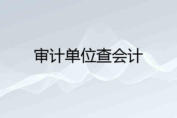 审计单位查会计