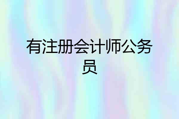 有注册会计师公务员
