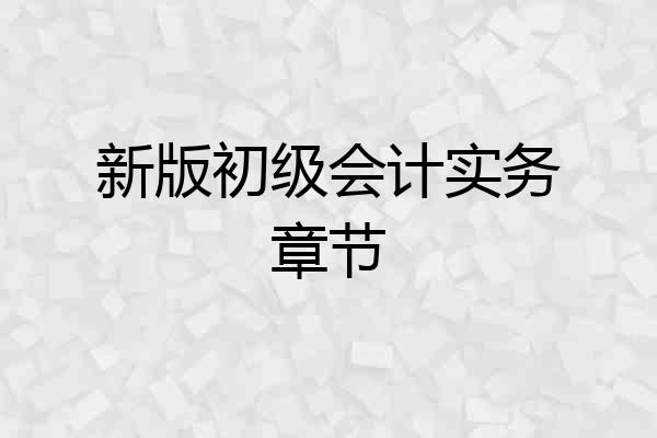 新版初级会计实务章节