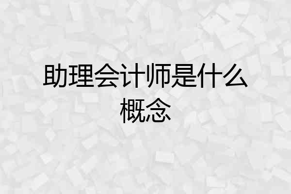 助理会计师是什么概念