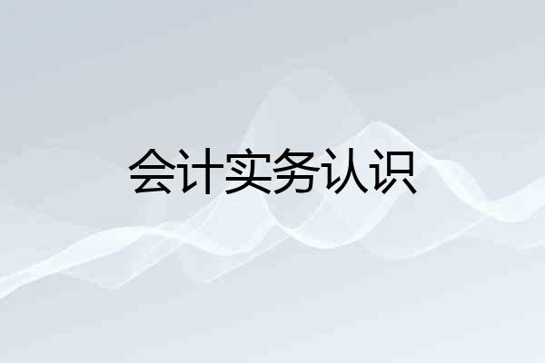 会计实务认识