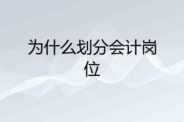 为什么划分会计岗位
