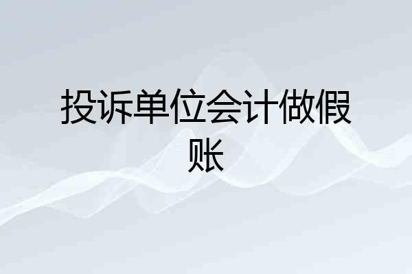 投诉单位会计做假账
