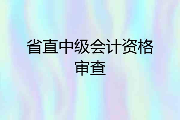 省直中级会计资格审查