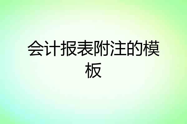 会计报表附注的模板