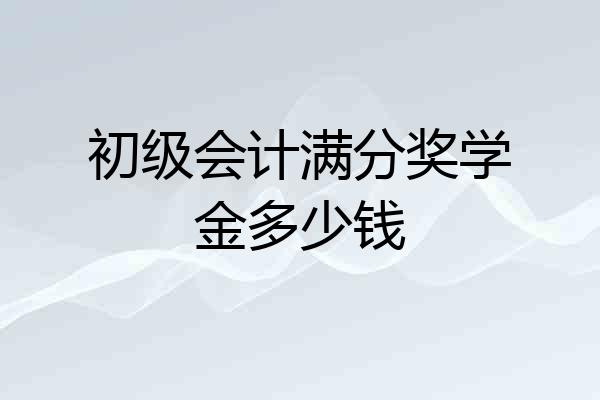 初级会计满分奖学金多少钱
