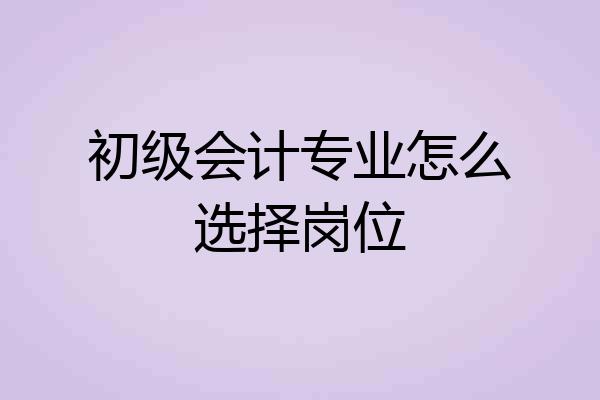 初级会计专业怎么选择岗位