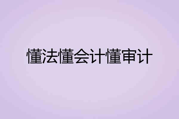 懂法懂会计懂审计