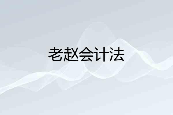 老赵会计法