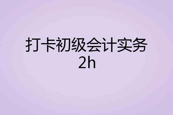 打卡初级会计实务2h
