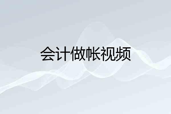 会计做帐视频