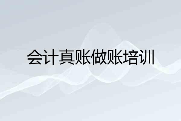 会计真账做账培训