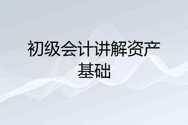 初级会计讲解资产基础