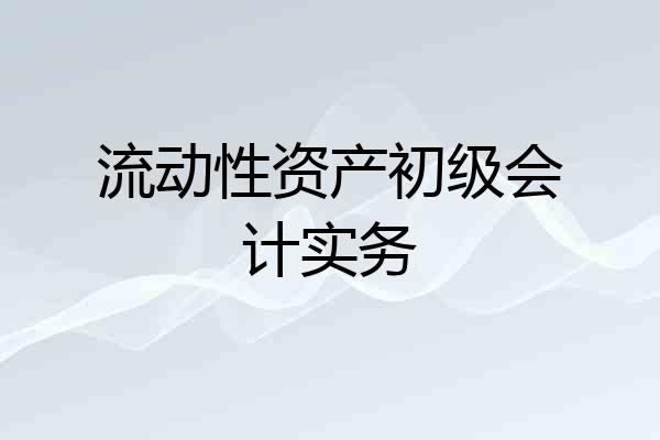 流动性资产初级会计实务