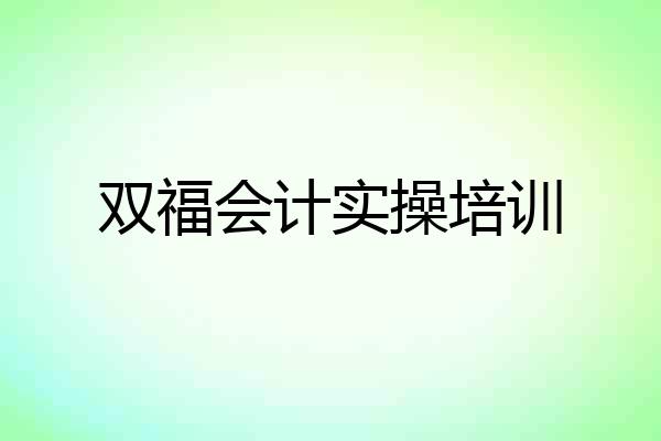 双福会计实操培训