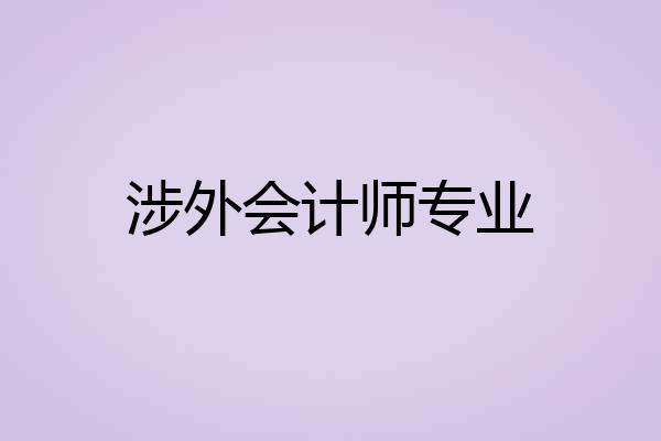 涉外会计师专业