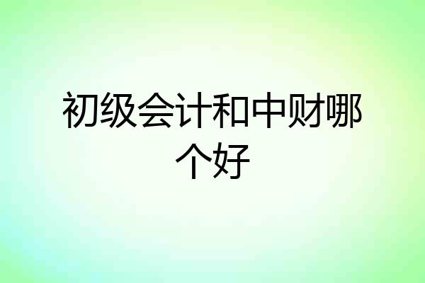 初级会计和中财哪个好