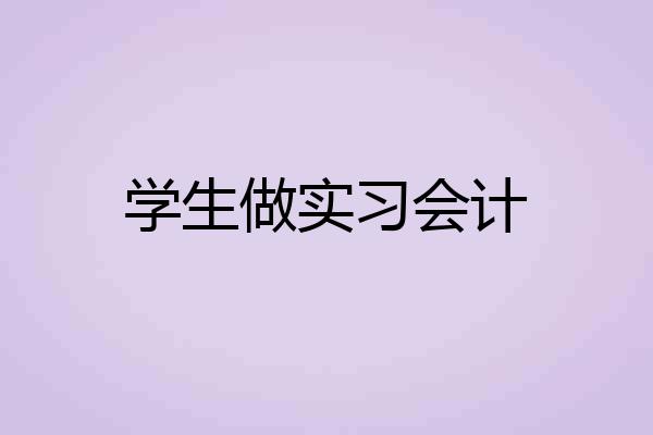 学生做实习会计