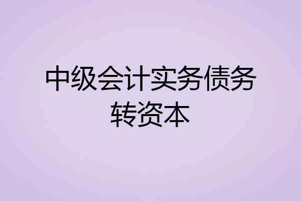中级会计实务债务转资本