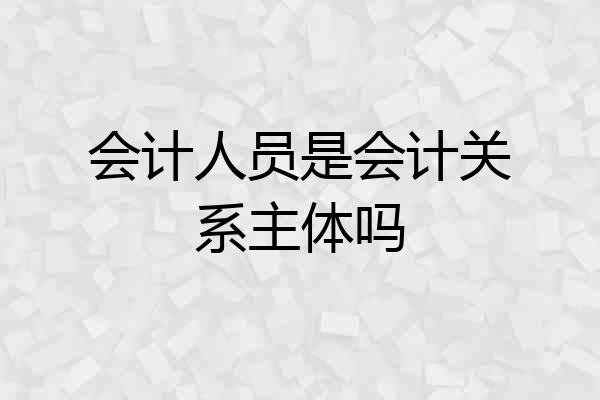 会计人员是会计关系主体吗