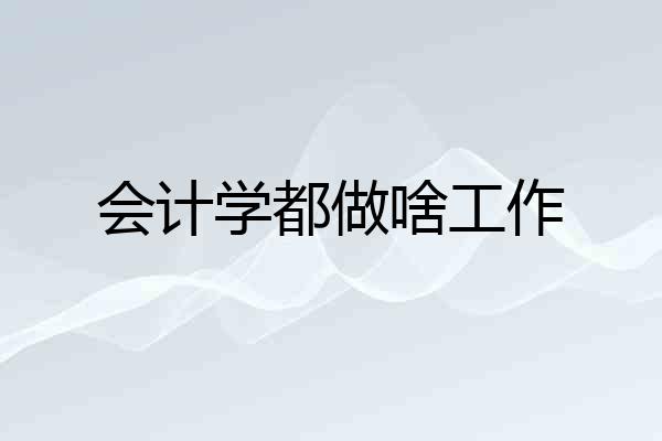会计学都做啥工作