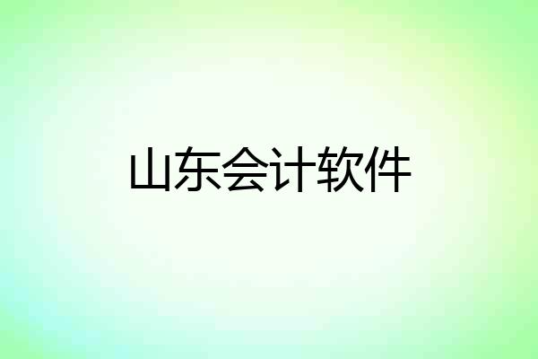 山东会计软件