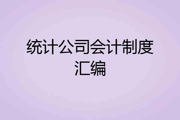 统计公司会计制度汇编
