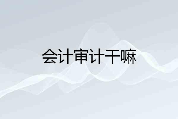 会计审计干嘛