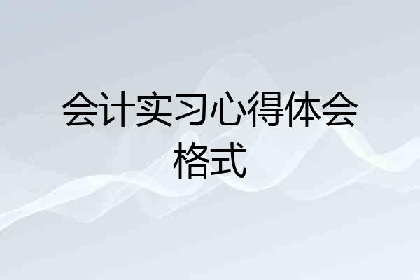会计实习心得体会格式